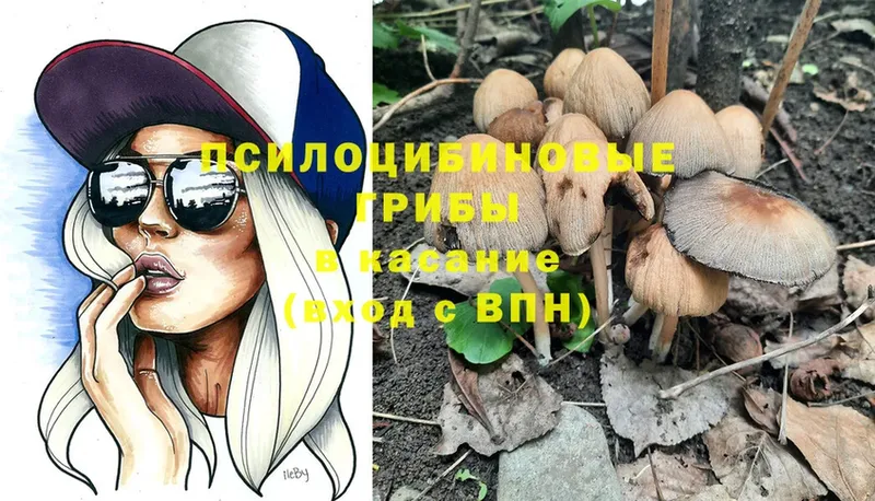 Псилоцибиновые грибы Psilocybe Котельниково